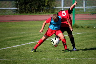 爱游戏app下载-篮球运动员训练负荷监控系统开发与应用研究，篮球运动员运动负荷量