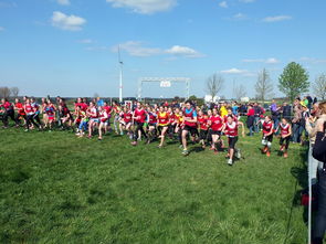 爱游戏体育-青少年体育社团活动对身心发展的促进作用，体育社团对学生的影响